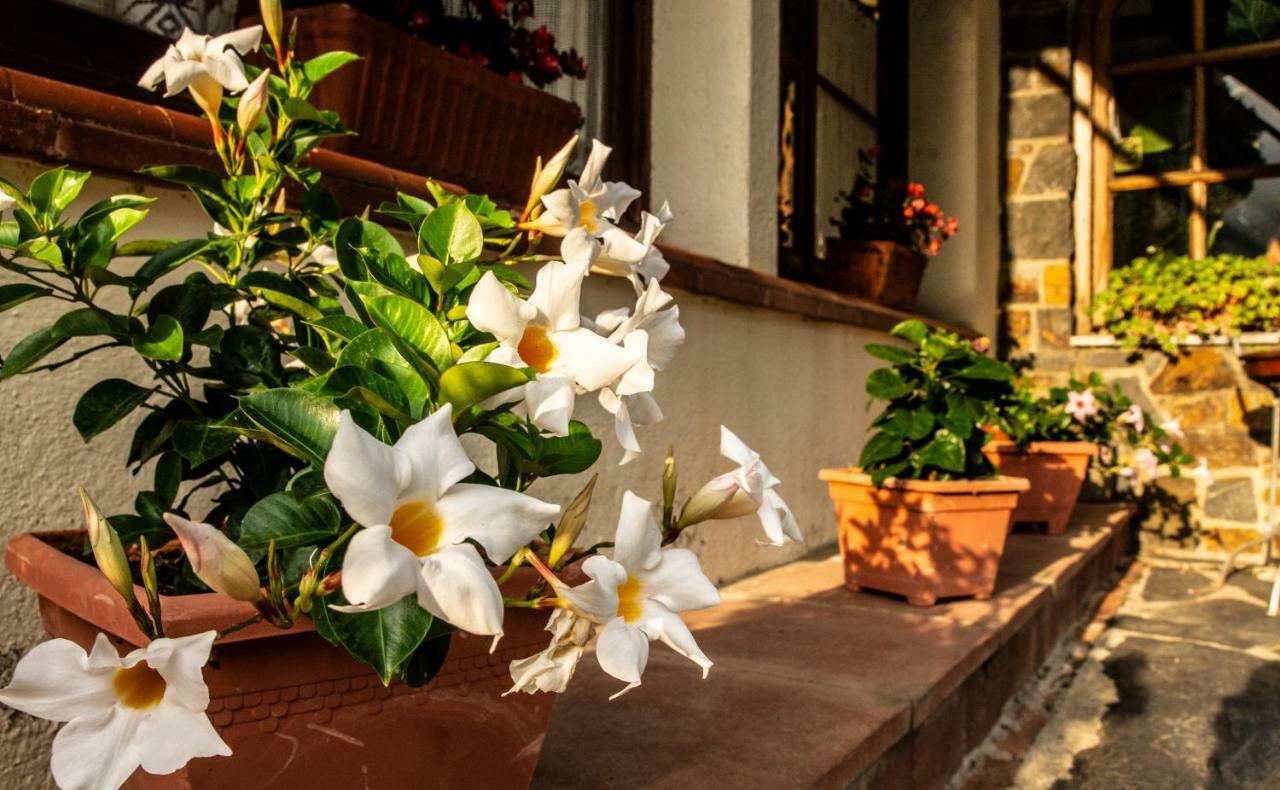 Hostal Montserrat مونتسيني المظهر الخارجي الصورة